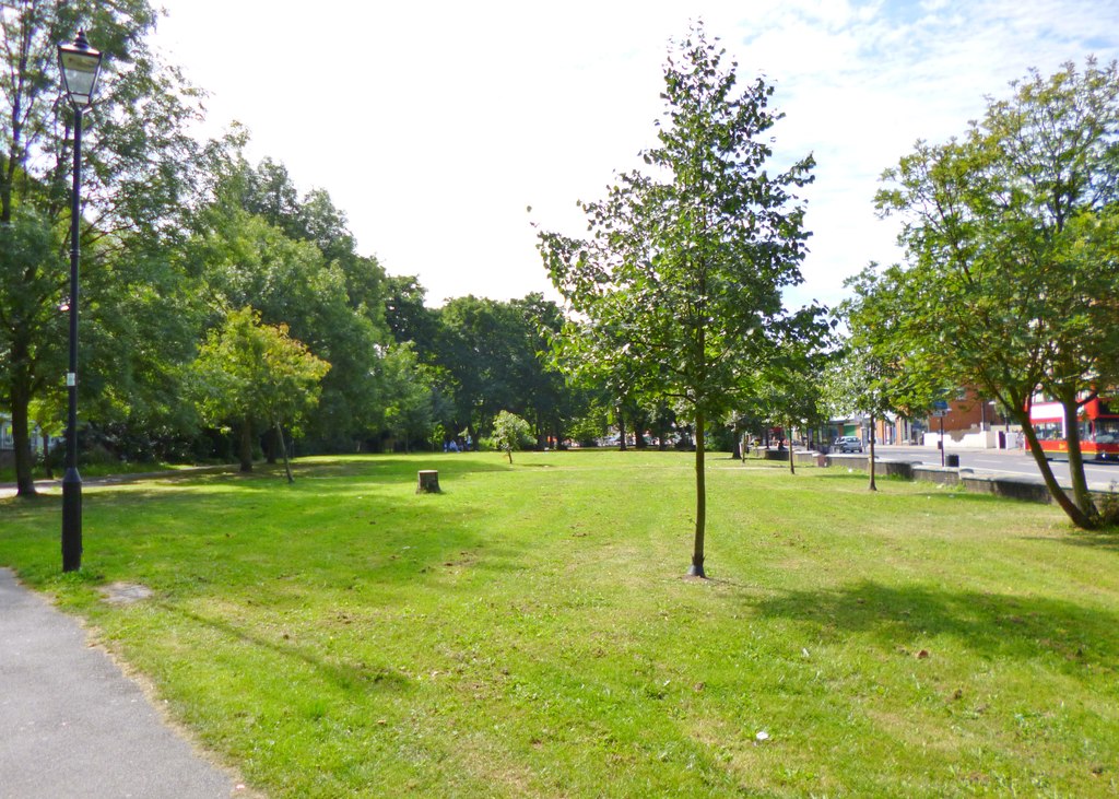 Brixton Rush Common, Greater London