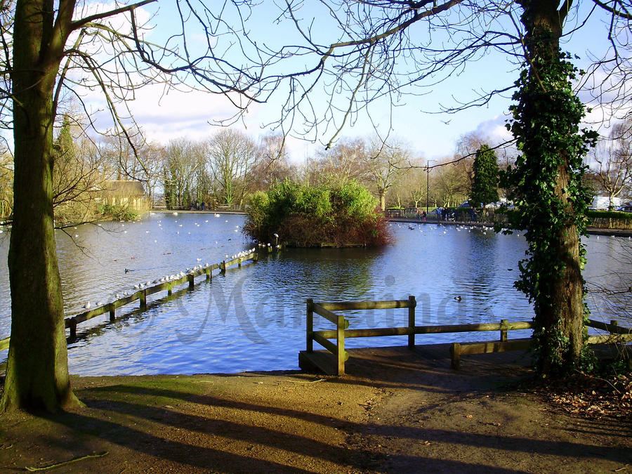 Alexandra Park, London