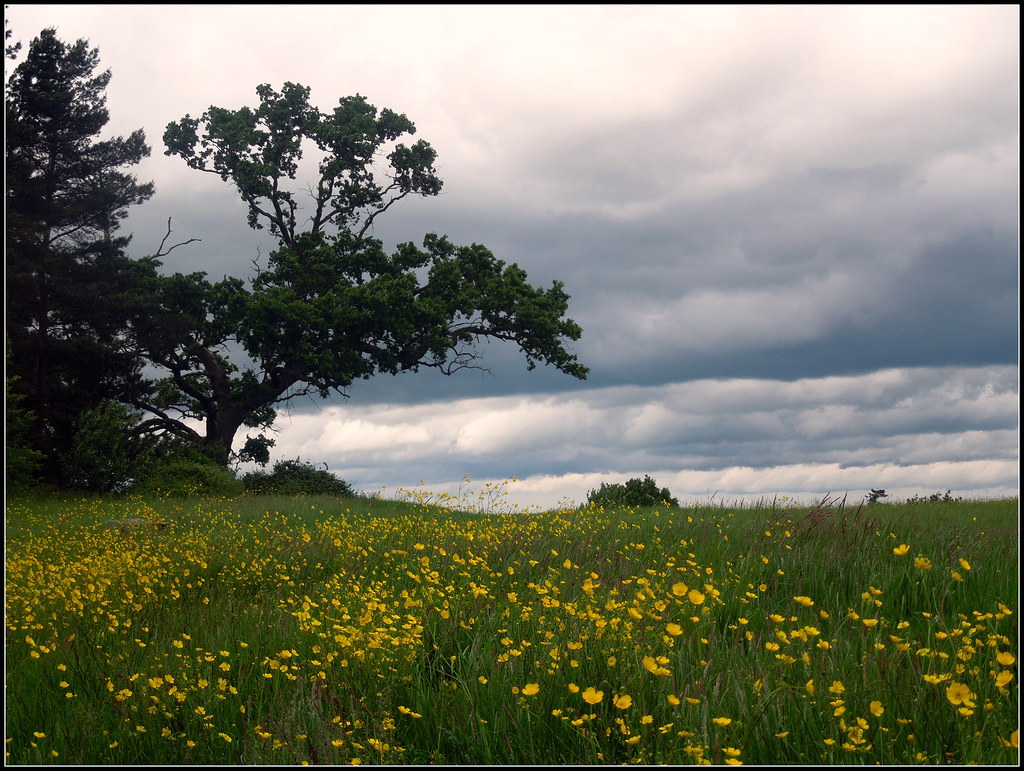 Callow End, Worcestershire