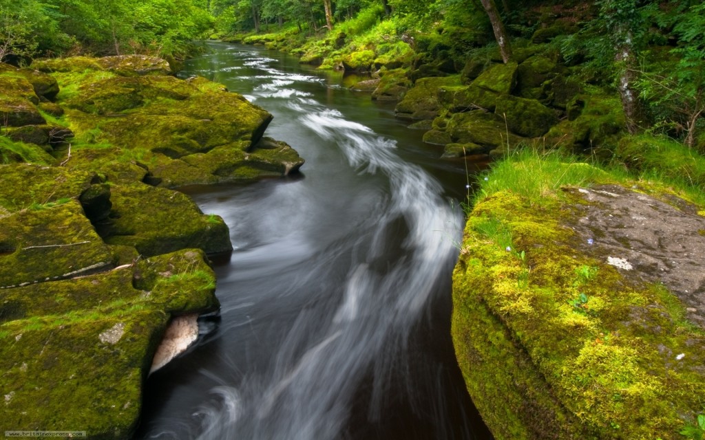 Collingham, West Yorkshire