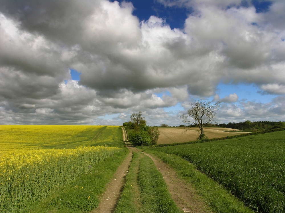 Walkington, East Riding of Yorkshire