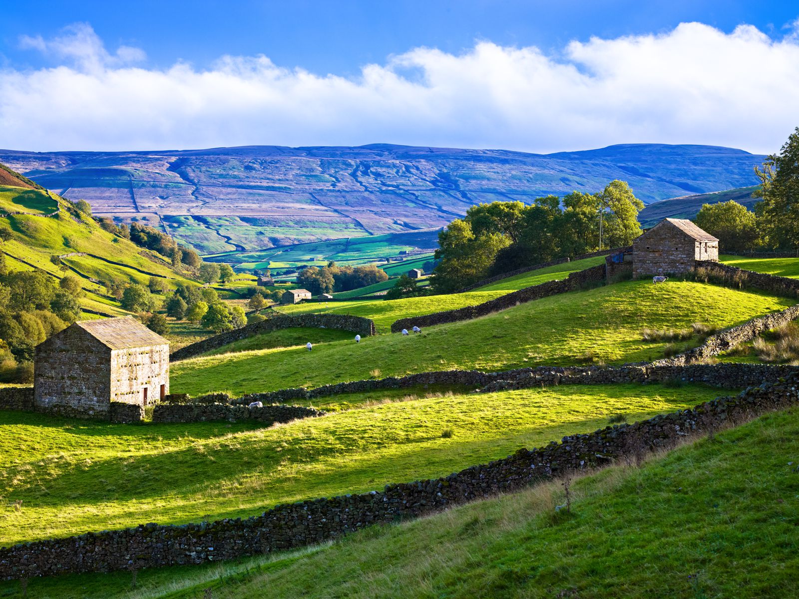 Rowly, North Yorkshire