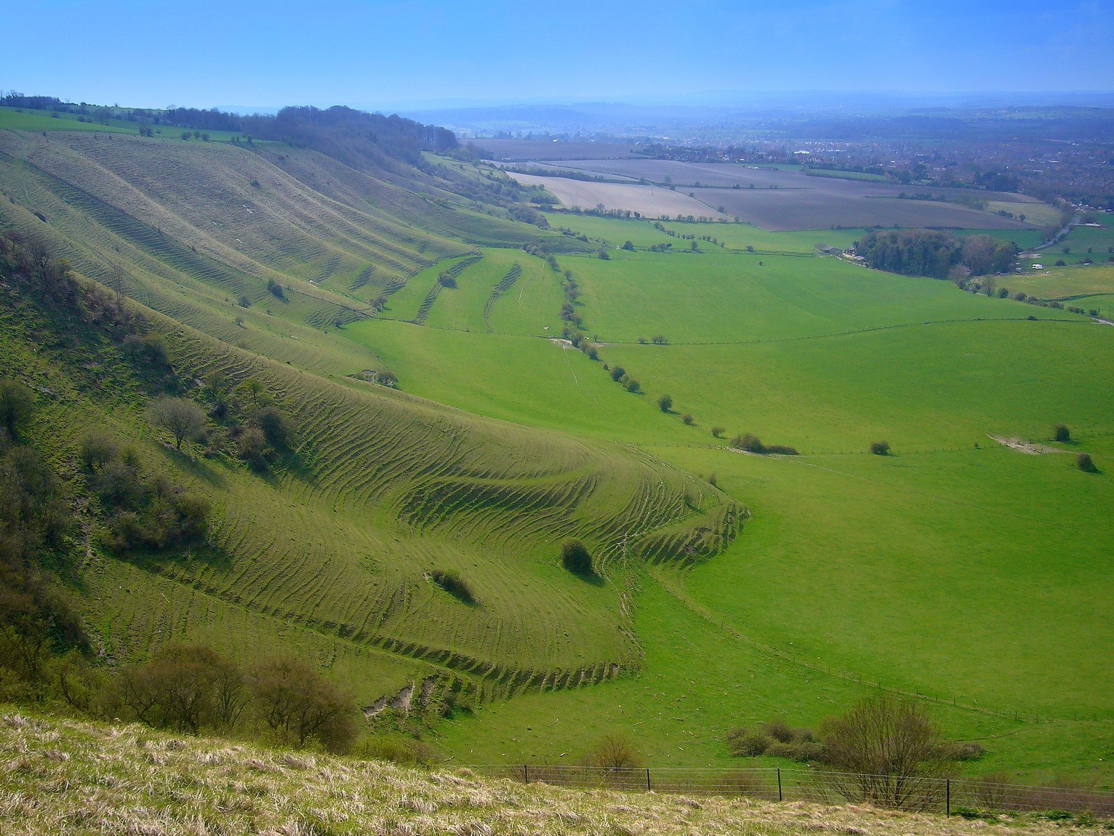 Westbury, Wiltshire