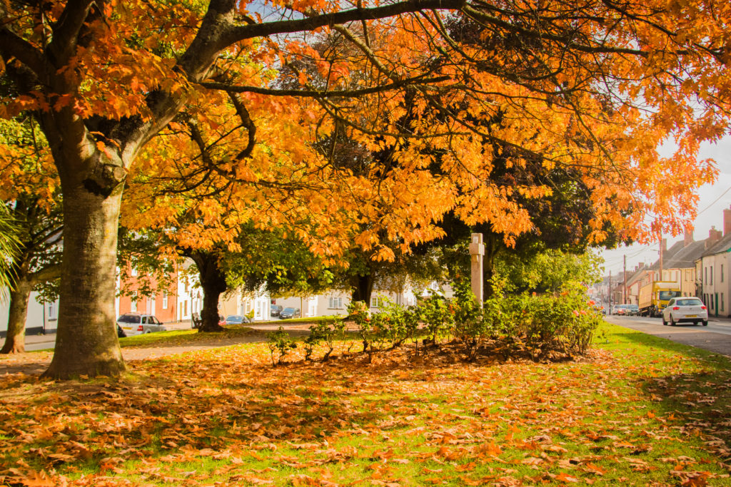 Crediton, Devon