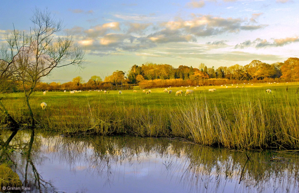 Shillingstone, Dorset