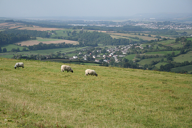 Bishop's Tawton, Devon