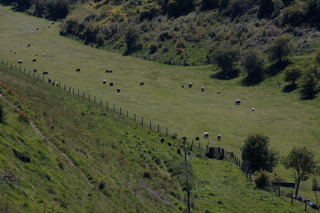 Coombe Bissett, Wiltshire