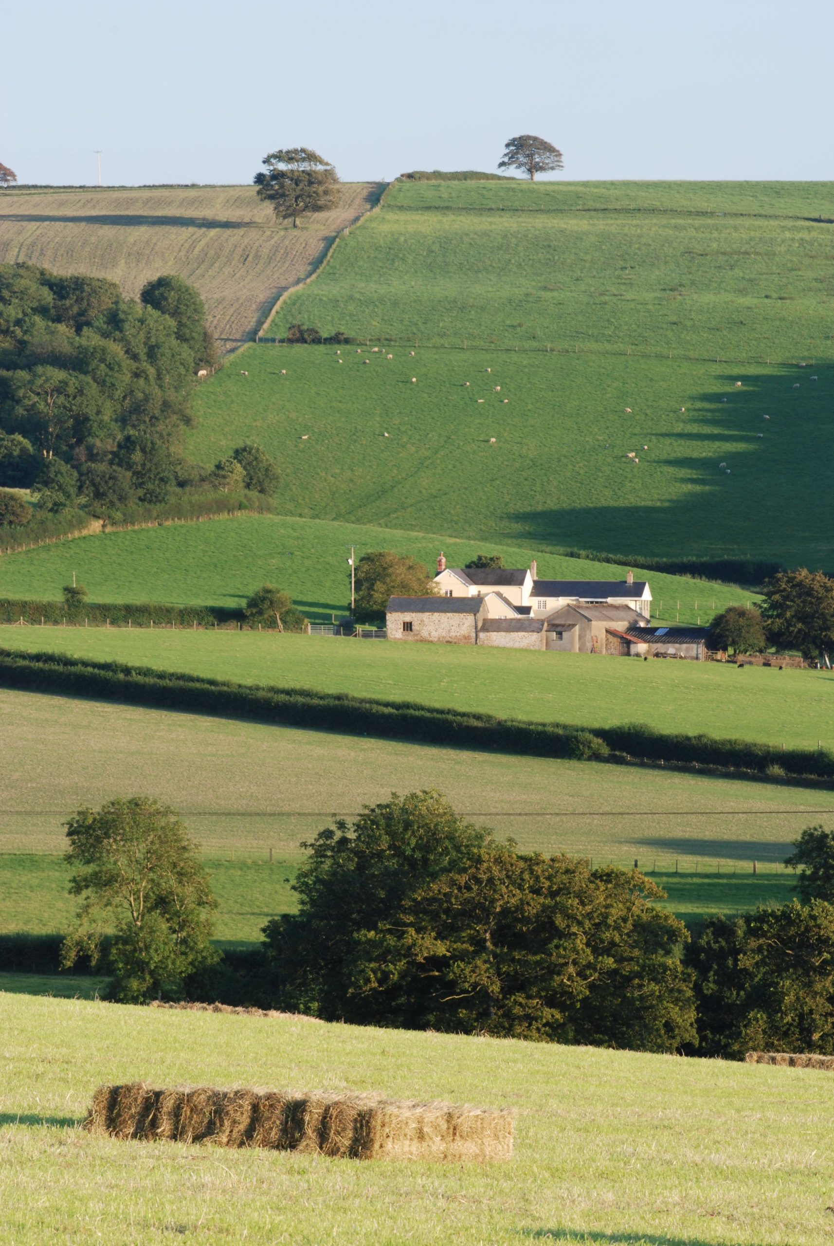 Bishop's Nympton, Devon