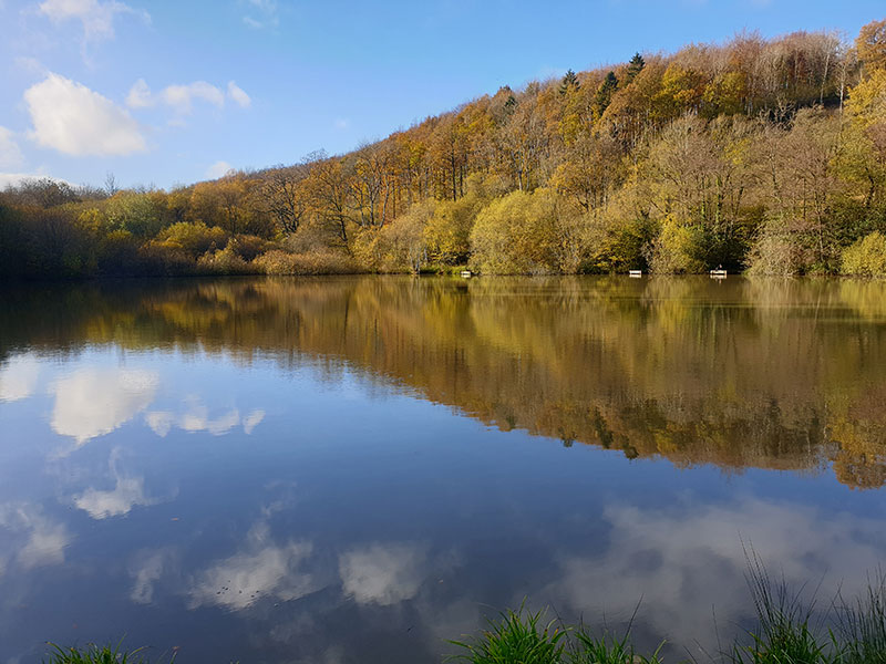 Blackdown, Somerset