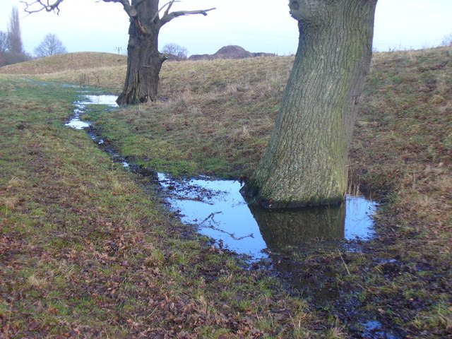 Flexford, Surrey