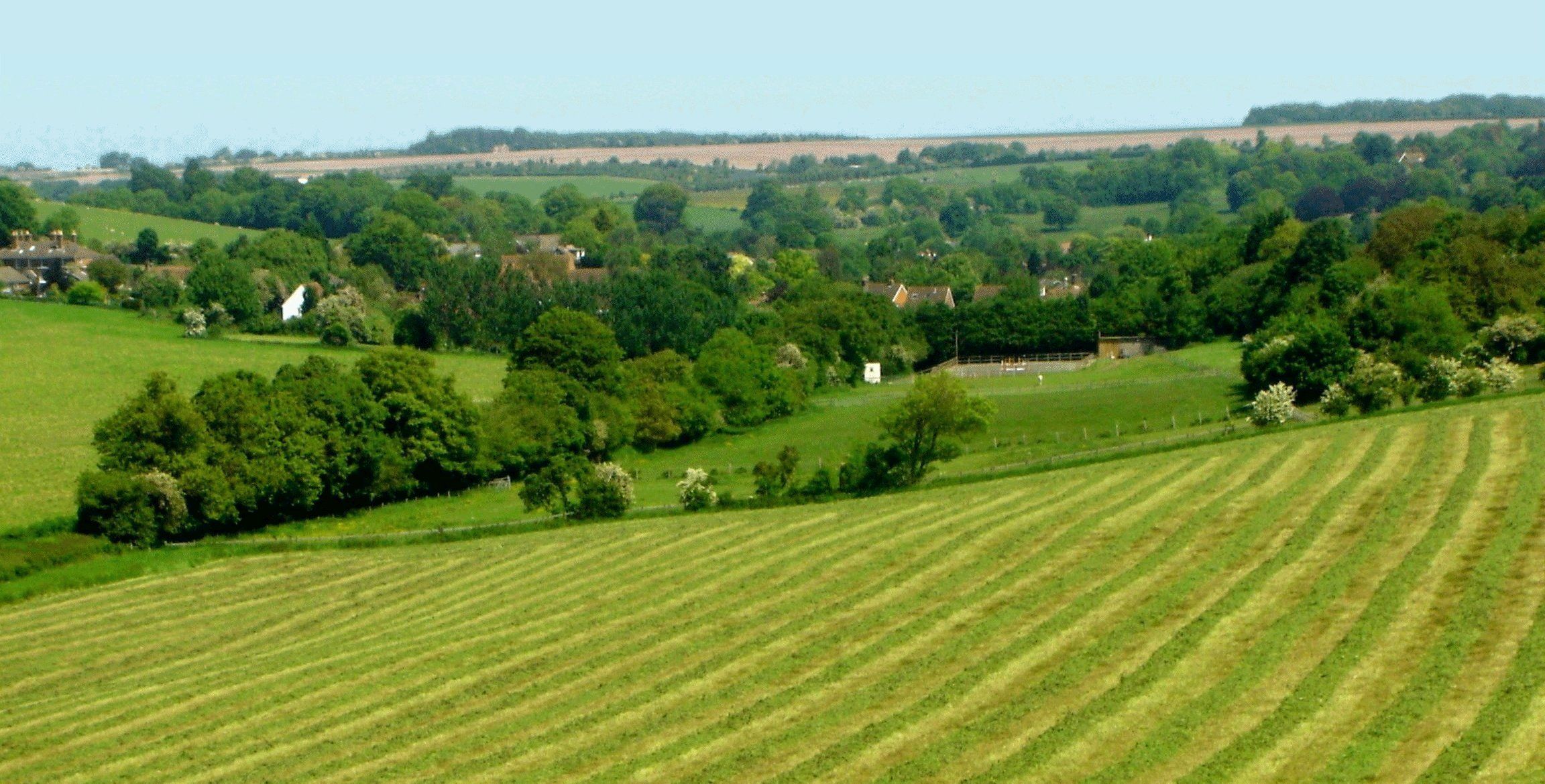 Barham, Kent