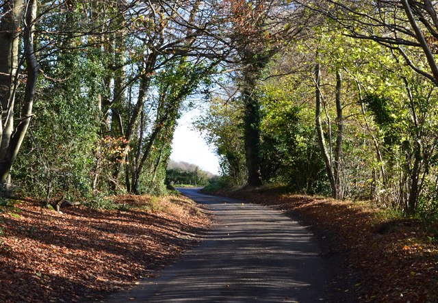 Gallowstree Common, Oxfordshire