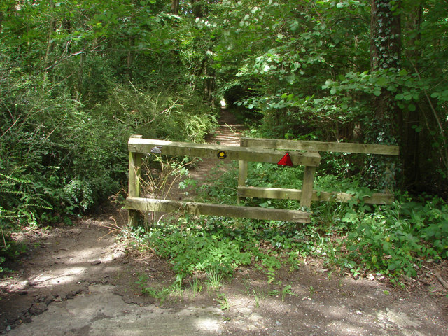 Durfold Wood, West Sussex