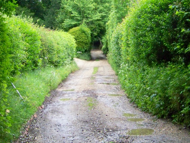 Terwick Common, West Sussex