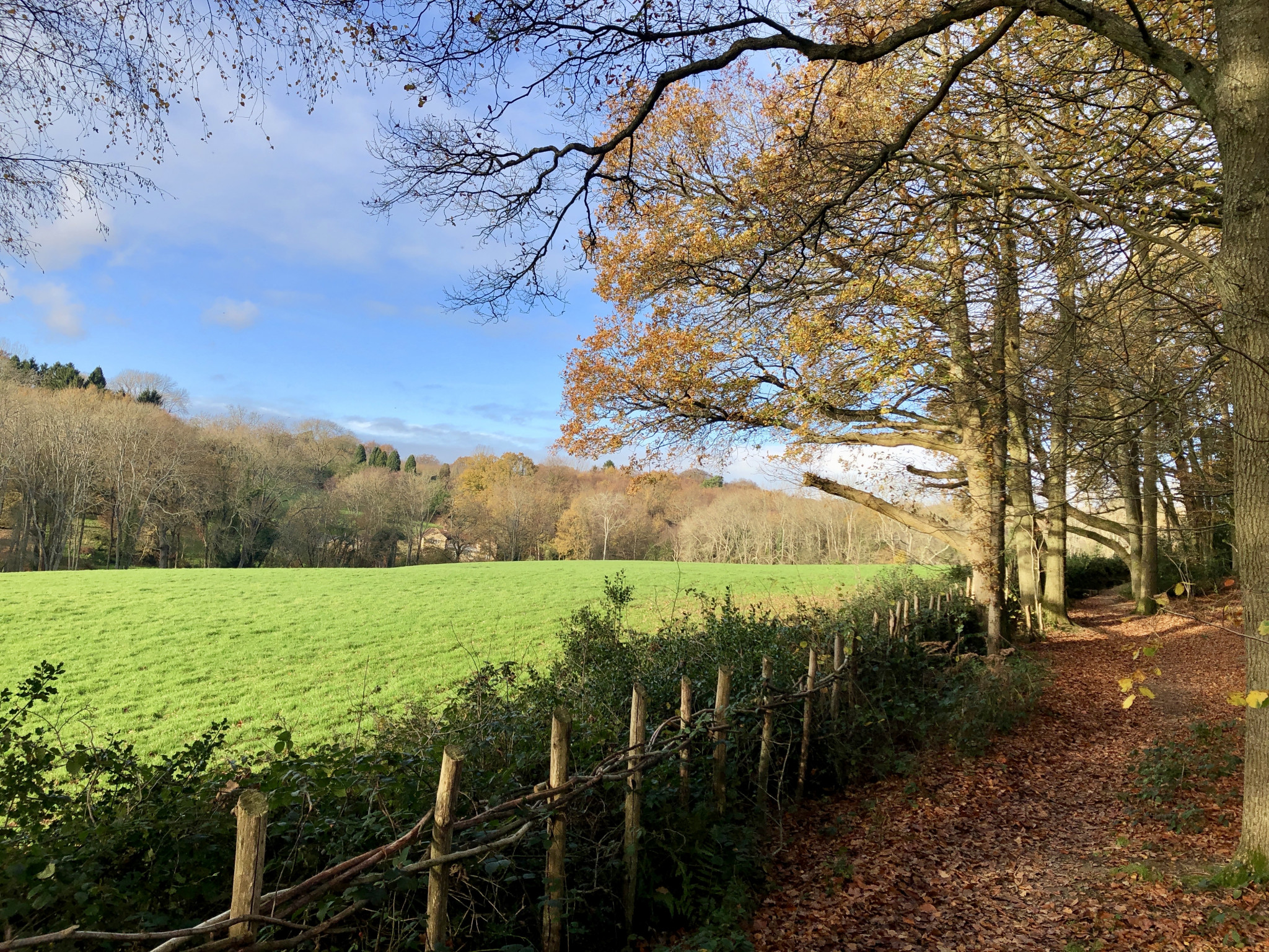 Chelwood Common, East Sussex