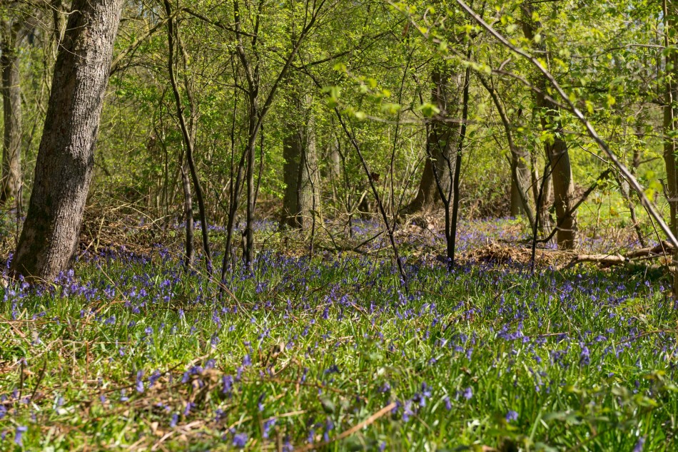 Emberton, Buckinghamshire