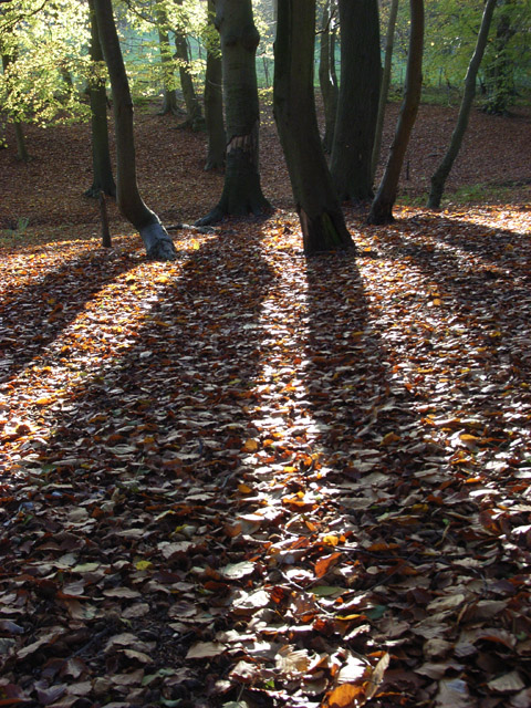 Burchett's Green, Berkshire