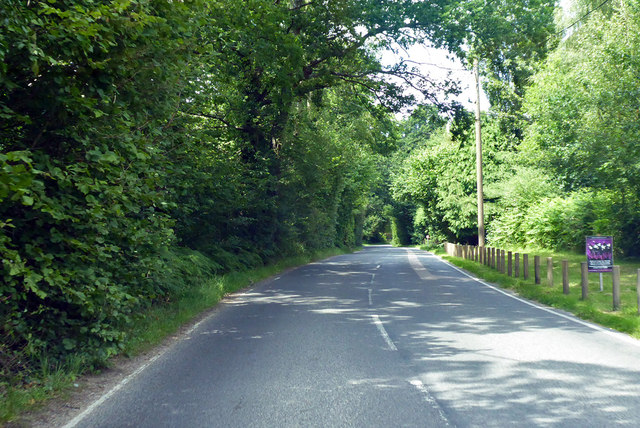 Shipley Bridge, West Sussex