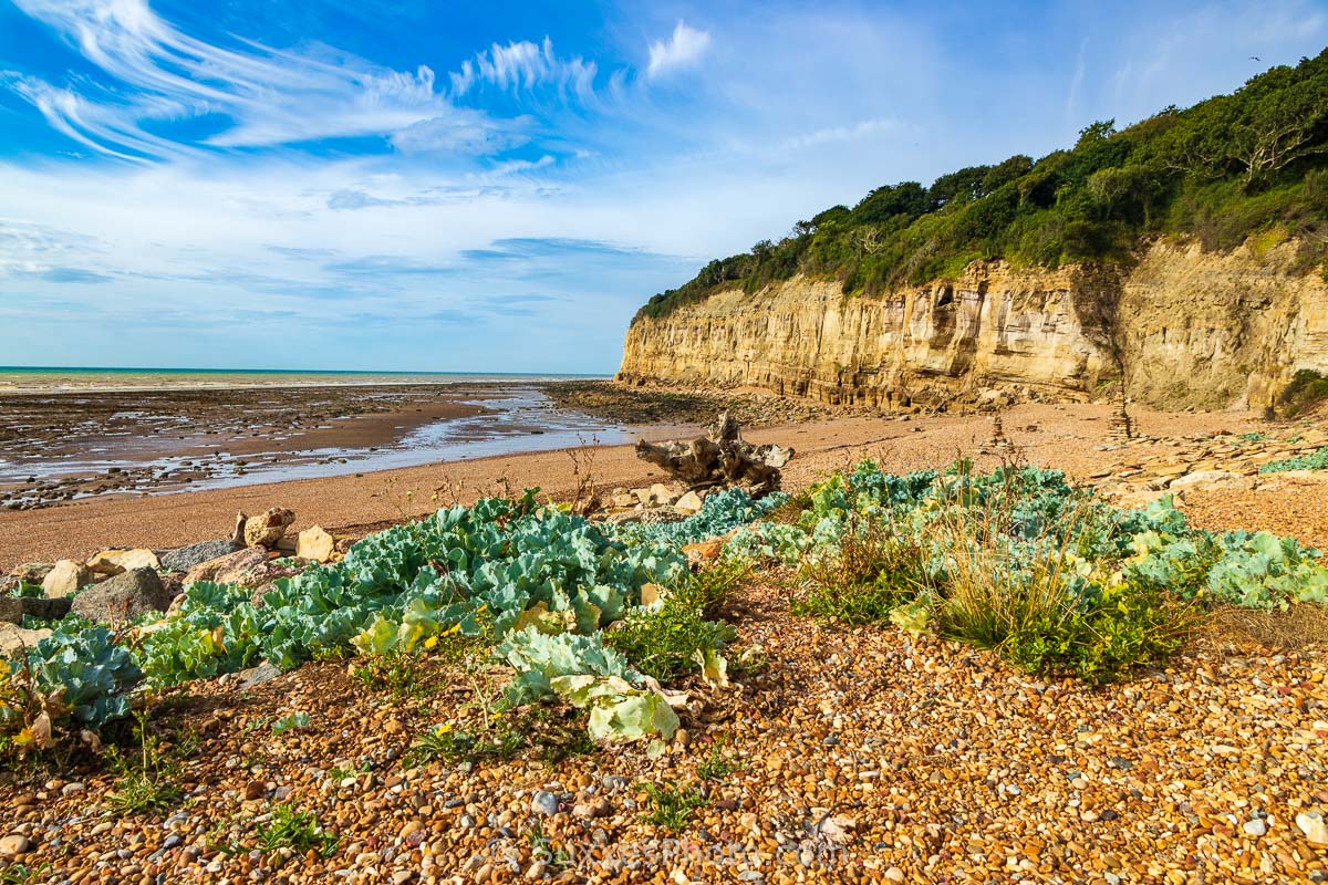 Cliff End, East Sussex