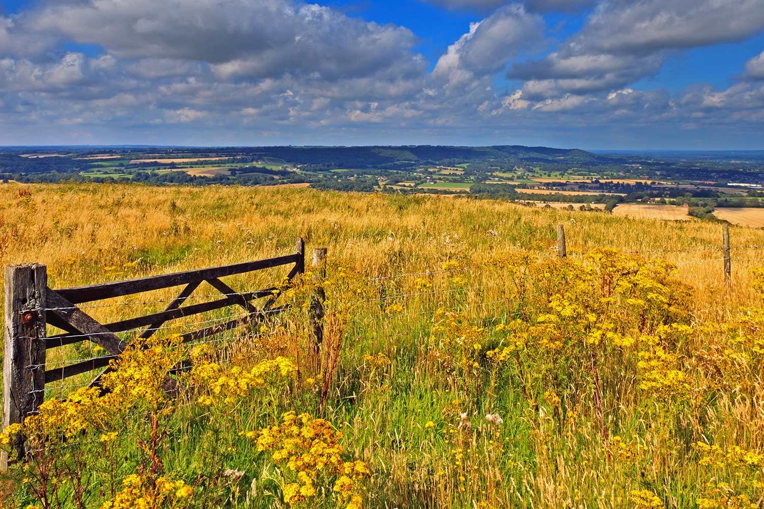 Duke's Hill, Hampshire