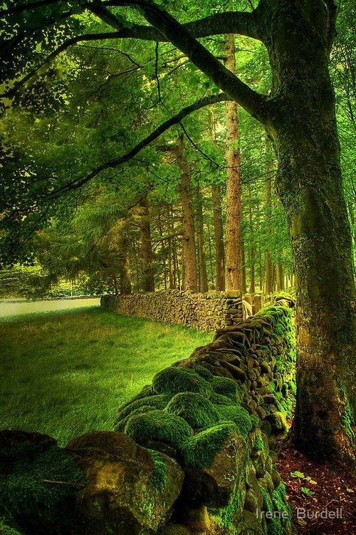 Fence, Lancashire