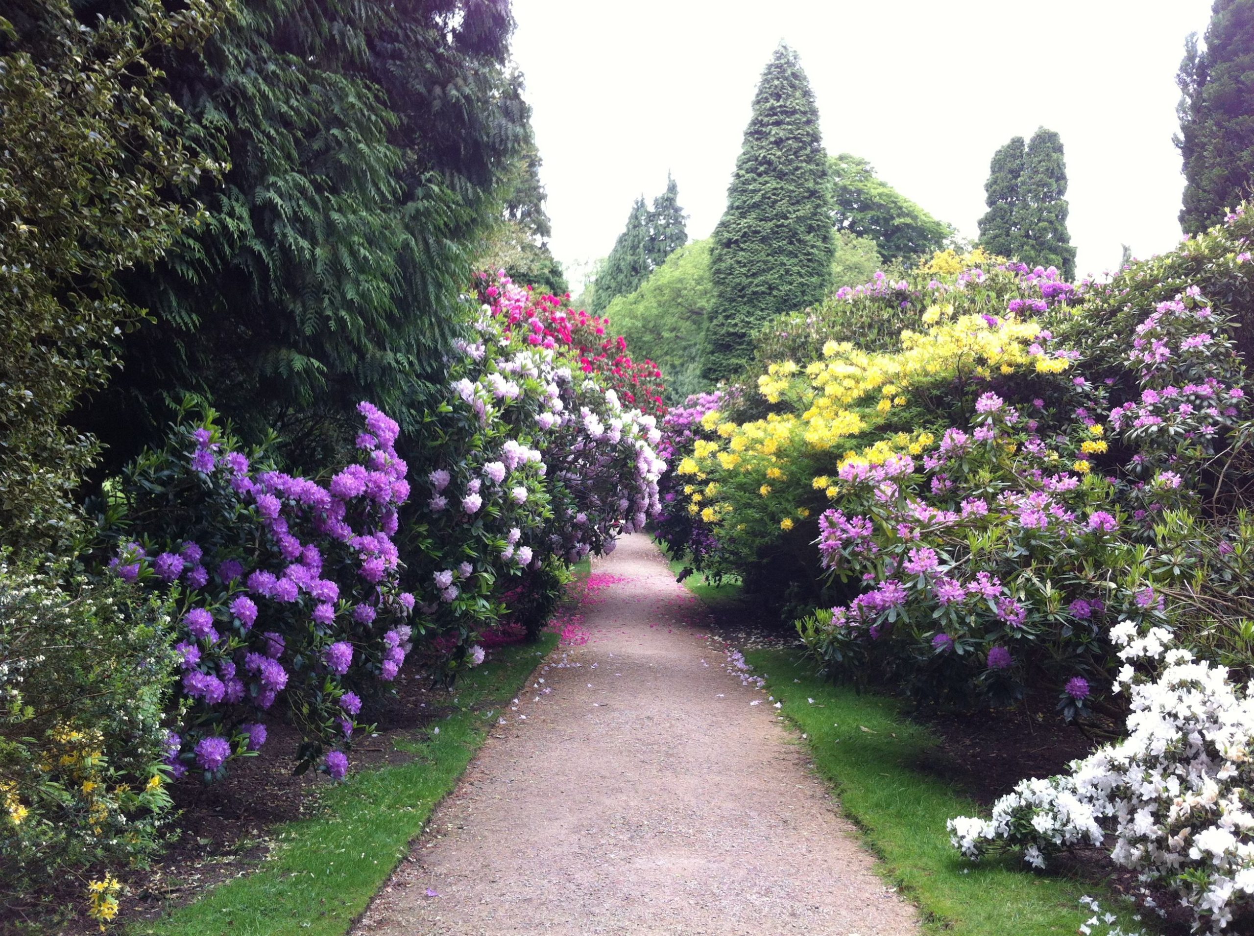 Hare Green, Cheshire