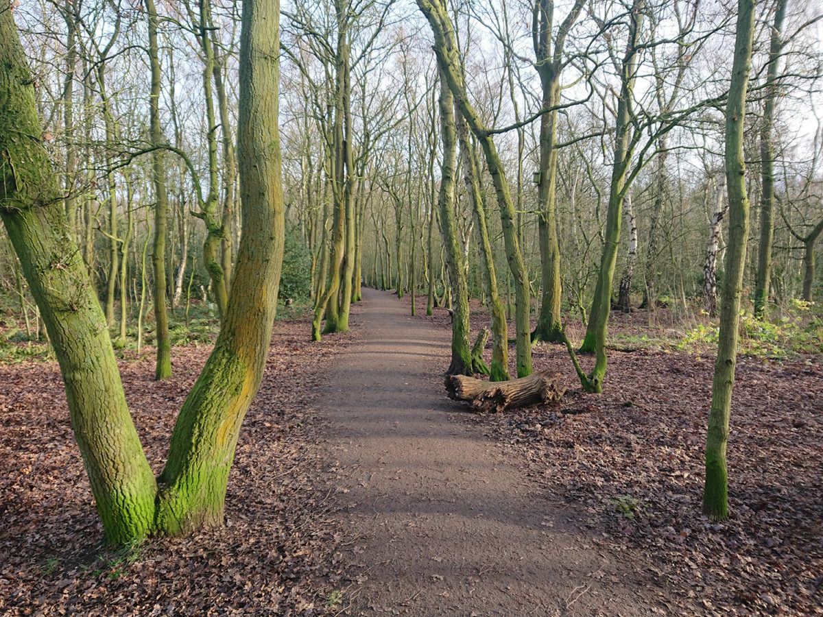 Brereton Heath, Cheshire