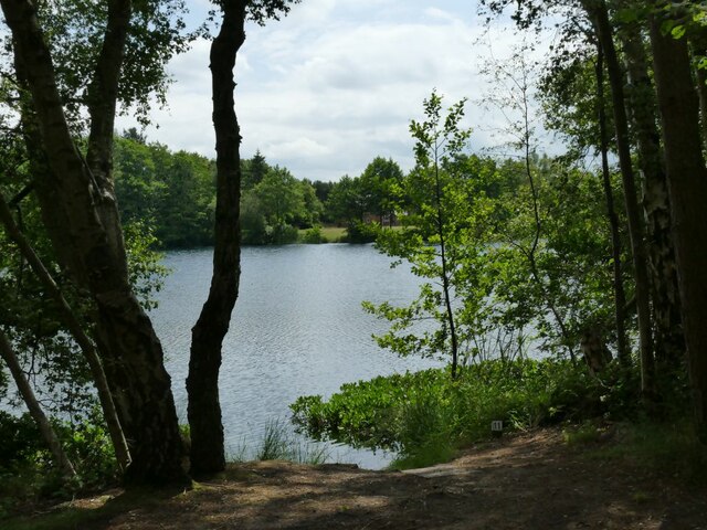 Rudheath Woods, Cheshire