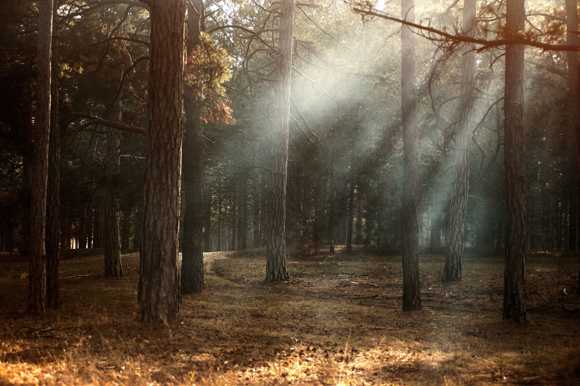 Rendlesham, Suffolk