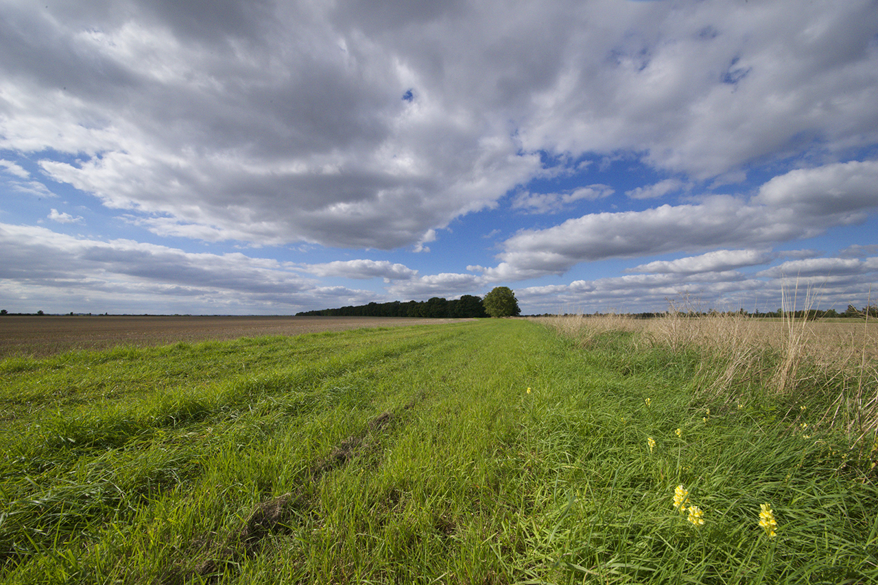 Bottisham, Cambridgeshire