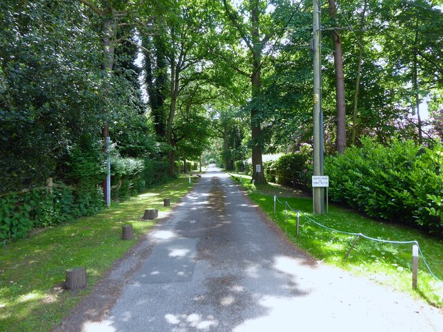 Horney Common, Suffolk